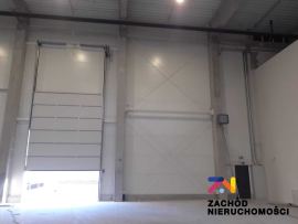 Do wynajęcia hala o pow. 2767 m2.